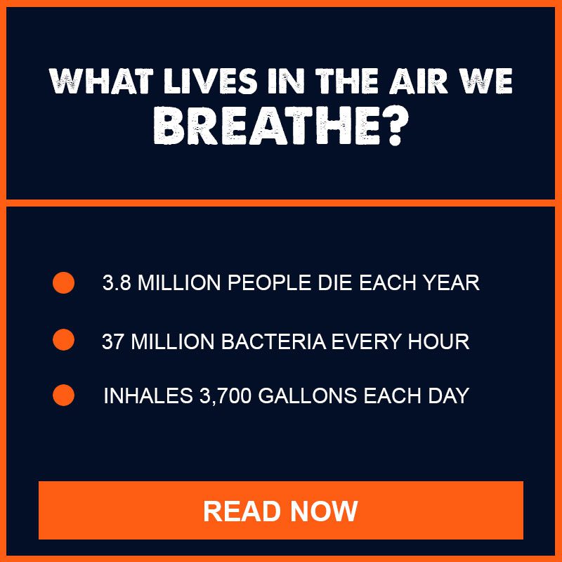 What Lives In The Air We Breathe Filters2Go USA